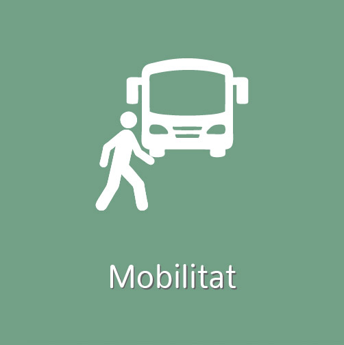 Mobilitat i transport