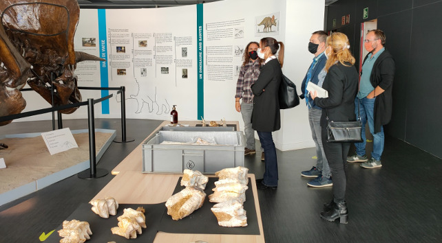 Visita al museu de paleontologia i als fòssils de dinoteri descoberts a Sabadell 