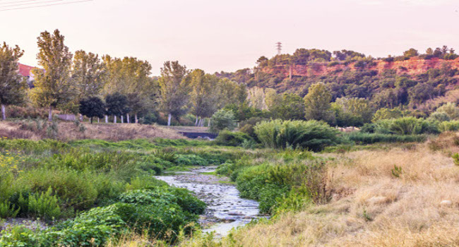Sabadell demana fons europeus Next Generation per transformar el riu Ripoll