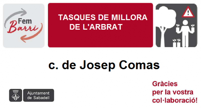 Tasques de millora de l'arbrat del c. de Josep Comas