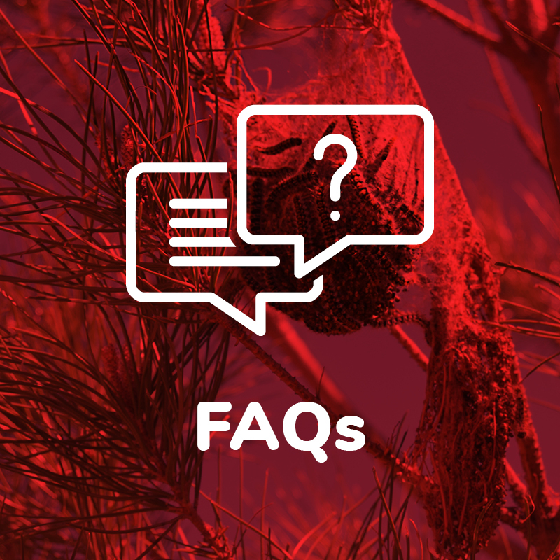 FAQS