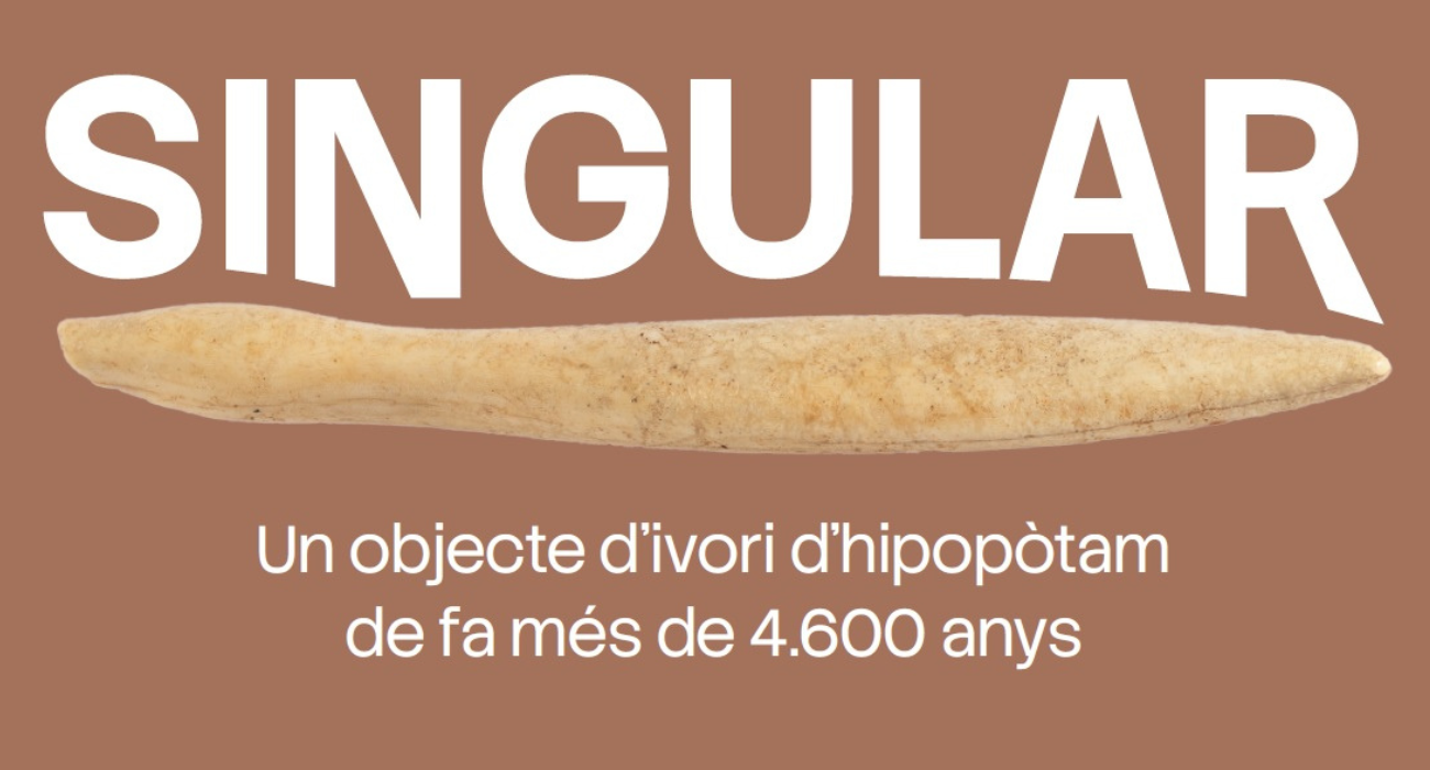 Singular Museu Historia