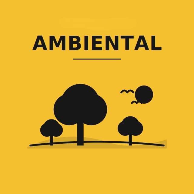 2 Ambiental