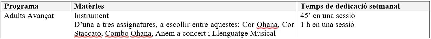 6e Altres programes i itineraris quadre 4