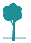 arbre