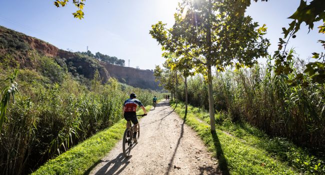 S’aprova l’adjudicació de les obres de millora dels camins del Ripoll