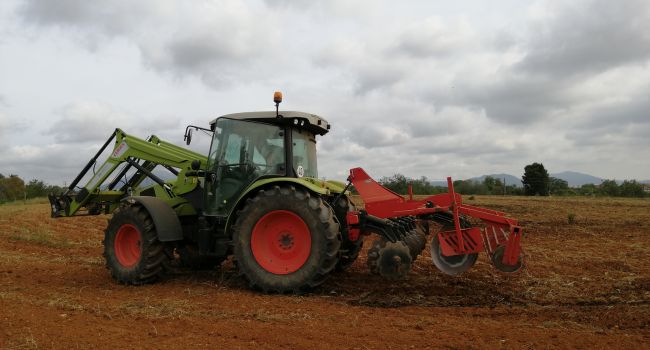 Una visita guiada al Parc Agrari i una exposició al Casal Pere Quart donen a conèixer la feina de la pagesia