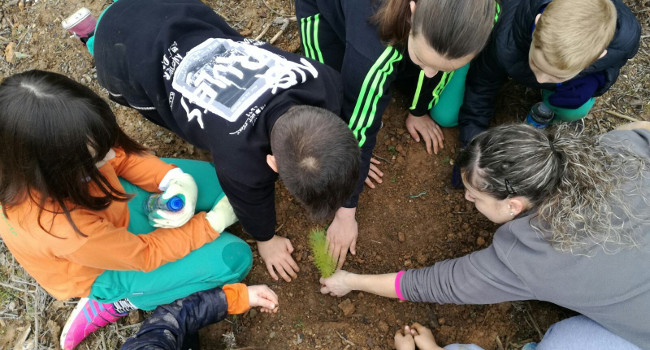 Alumnes de quatre escoles plantaran arbres i arbusts a la Salut i a Castellarnau
