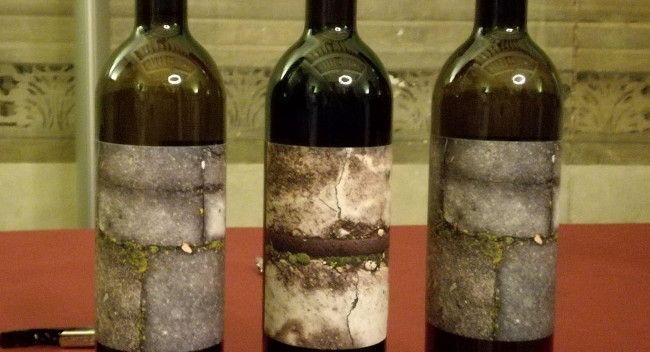 Presentada una nova varietat de ceba i el vi Arraona d’enguany, productes d’agricultura de proximitat de Sabadell