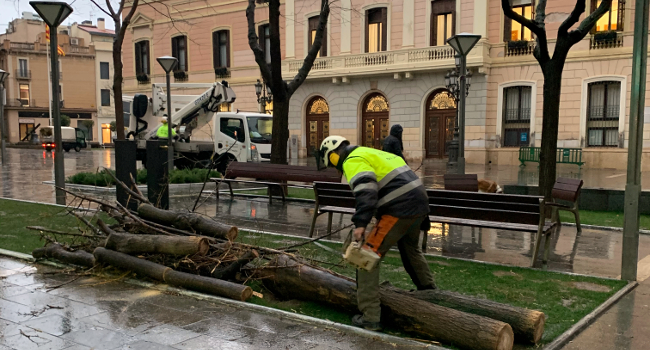 L’Ajuntament xifra en prop de 250.000 euros el cost dels desperfectes provocats pel temporal Glòria a Sabadell 