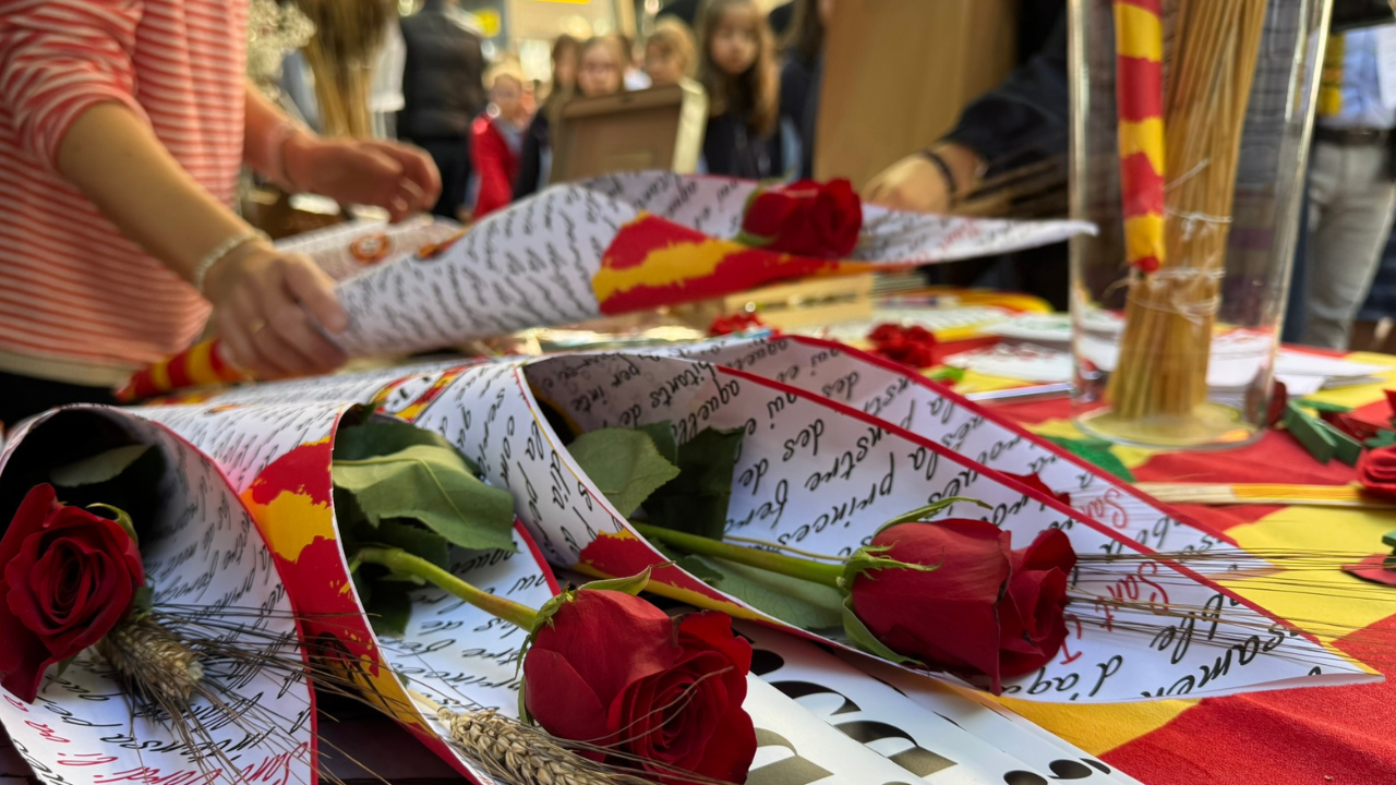 20260422 SantJordi roses Gran