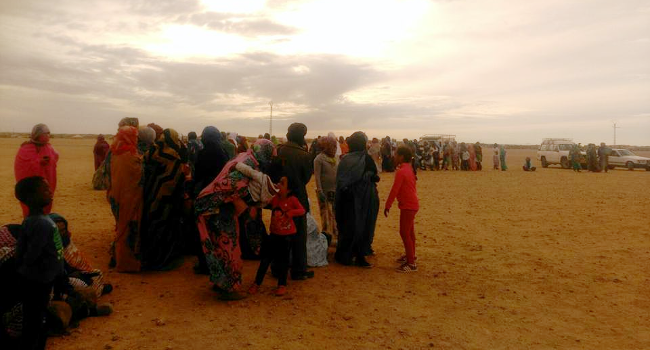 Visita als campaments de refugiats sahrauís propers a Tindouf (Algèria) 