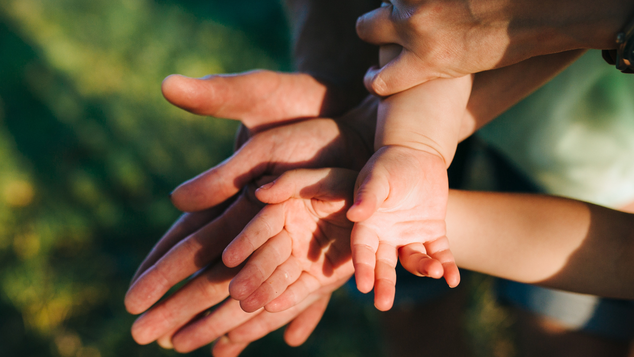 26 primavera families ciutadania