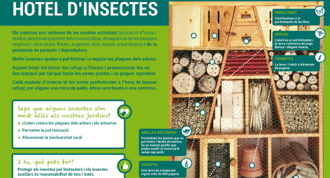 L’Ajuntament instal·la un hotel d’insectes al parc de Catalunya
