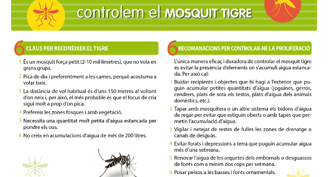 Consells per evitar la proliferació del mosquit tigre