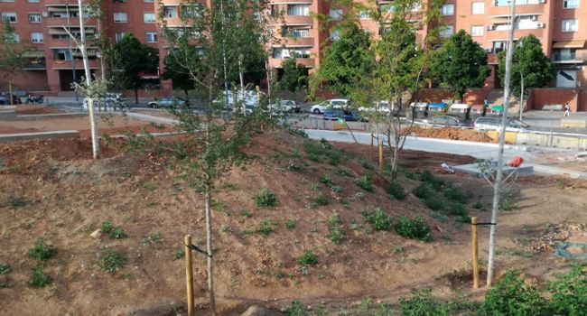 L’arranjament del nou parc de la plaça d’Espanya avança a bon ritme