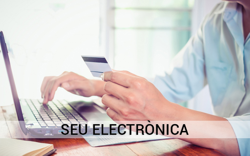 Seu electrònica