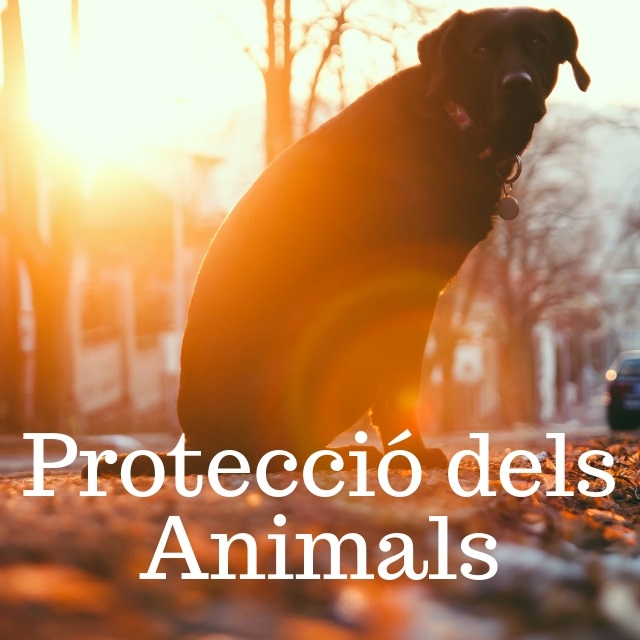 Protecció dels Animals