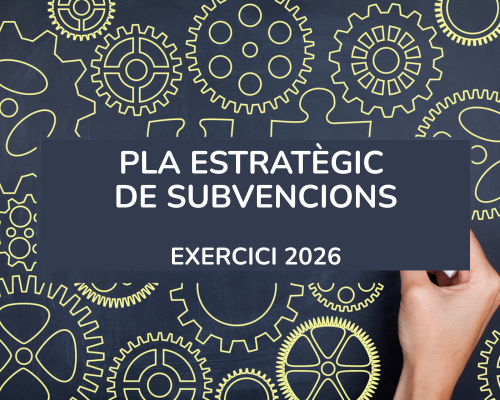 Pla Estratègic de Subvencions