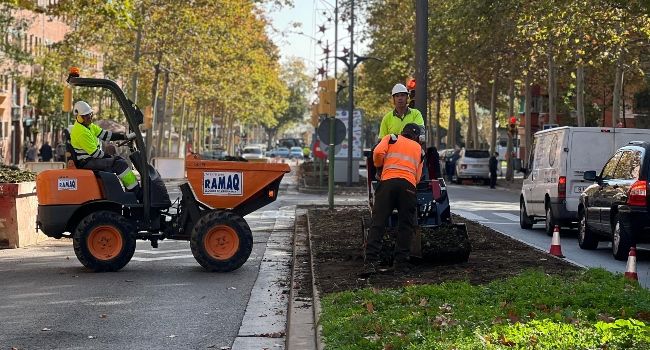 L’Ajuntament planta més de 300 arbres en diversos vials d’elevat trànsit de la ciutat