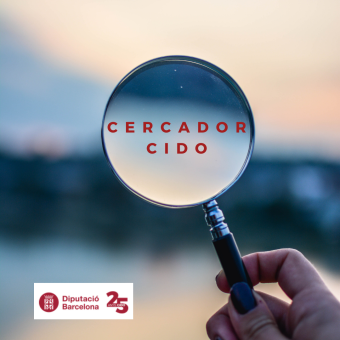 Diputació: Cercador d'Informació i Documentació Oficials