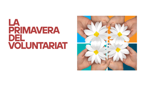 La Primavera del Voluntariat