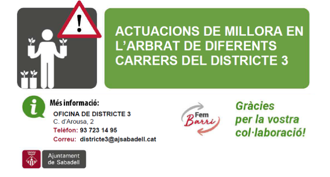 Actuacions de millora en l'arbrat de diferents carrers del Districte 3