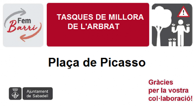 Tasques de millora de l'arbrat de la Plaça de Picasso