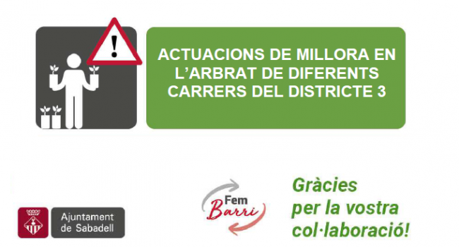 Actuacions de millora en l'arbrat de diferents carrers del Districte 3