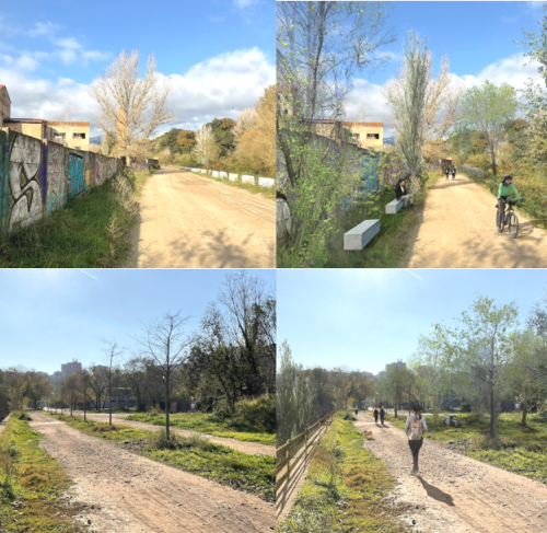 PROJECTE EXECUTIU DE RESTAURACIO DE L’ECOSISTEMA, LA INFRAESTRUCTURA VERDA I L’ACCESSIBILITAT DEL CAMI I ITINERARIS DEL RIU RIPOLL