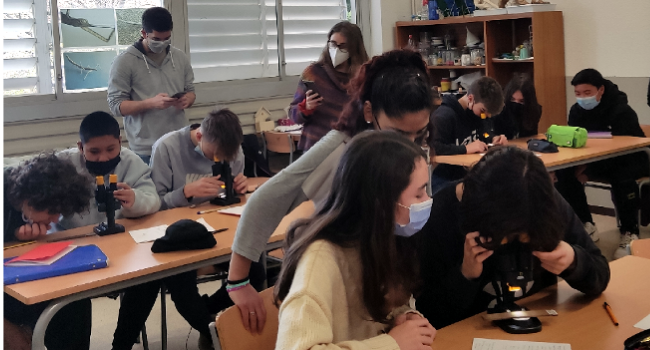 Alumnat de l’Institut Ca N’Oriac participa en un projecte per aprofundir en el coneixement del mosquit tigre
