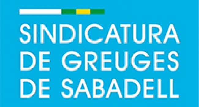 EL SÍNDIC DE GREUGES DE SABADELL FORMULA CINC RECOMANACIONS A L’AJUNTAMENT PER GARANTIR EL SERVEI DE TAXIS ADAPTATS A LA CIUTAT