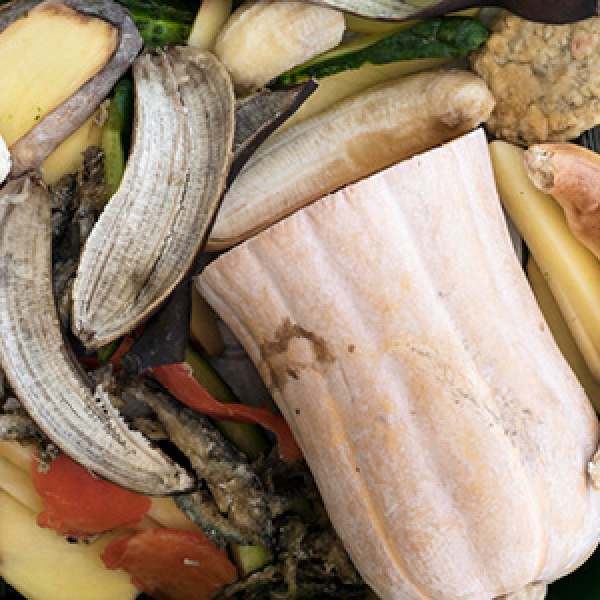 Per què reciclem les restes orgàniques ?
