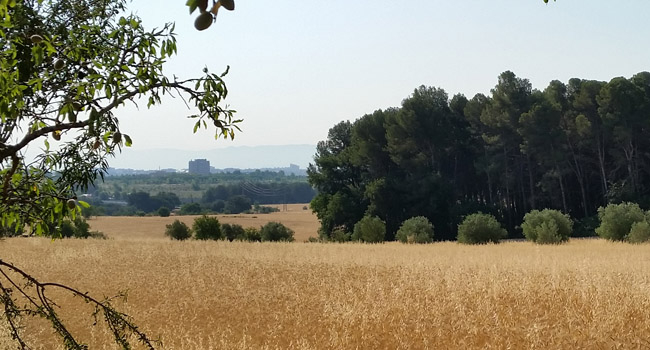 El parc agrari de Sabadell