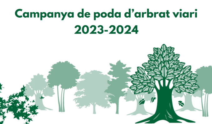 Campanya de poda d'arbrat viari 2023-24