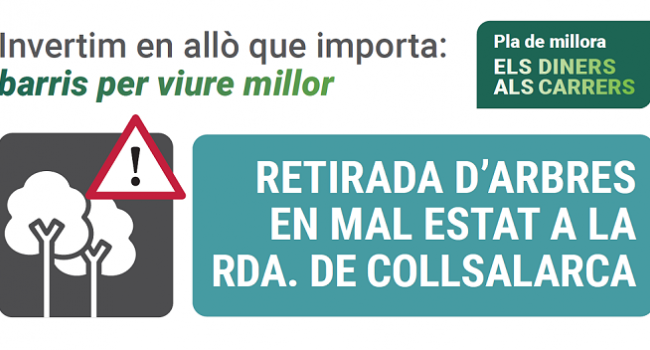 Retirada d'arbres en mal estat a la rda. de Collsalarca