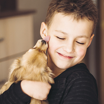 Vull un animal de companyia