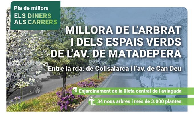 Millora de l'arbrat i dels espais verds de l'av. de Matadepera