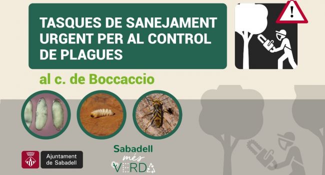 Tasques de sanejament per al control de plagues al c. de Boccaccio