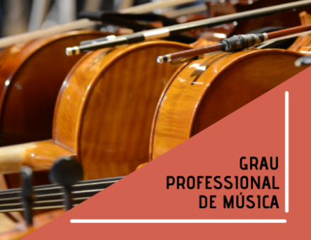 GRAU PROFESSIONAL DE MÚSICA