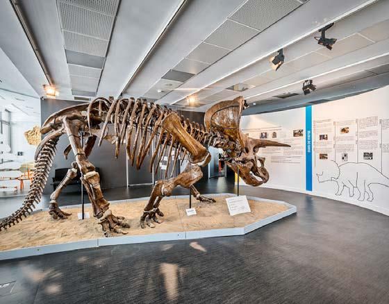 De Sabadell, per a tot Catalunya