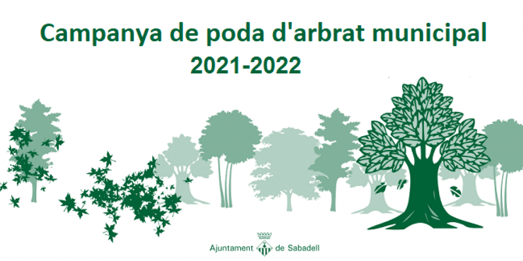 Campanya de poda d'arbrat municipal 2021-22