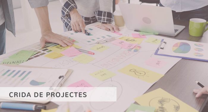 Crida de projectes