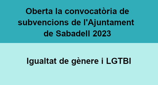 Convocatòria de subvencions per a la promoció d'activitats en matèria d'igualtat de gènere i LGTBI