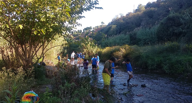 Alumnes de primària de cinc escoles de la ciutat participen en el projecte pilot Sortim a la Natura