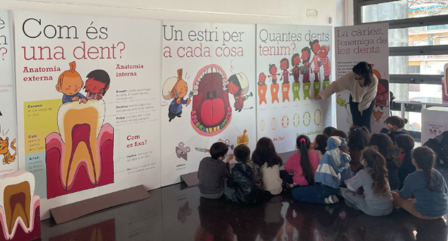 L’exposició Cuida’t les dents torna a Sabadell per promoure la salut bucodental infantil