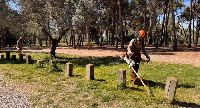 Treballs de desbrossada i neteja al rodal per reduir el risc d’incendis aquest estiu