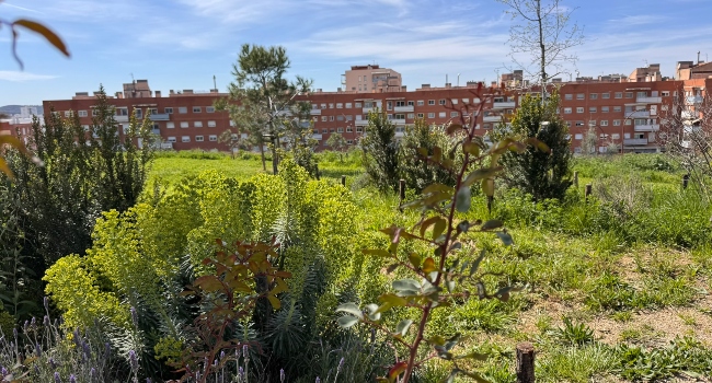 A Sabadell tothom té un parc o zona verda a menys de 10 minuts a peu de casa