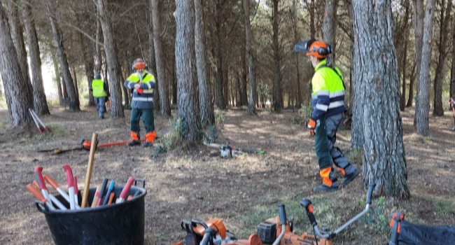 L’Ajuntament reforça la prevenció d’incendis forestals de cara a l’estiu intensificant el manteniment i neteja del rodal