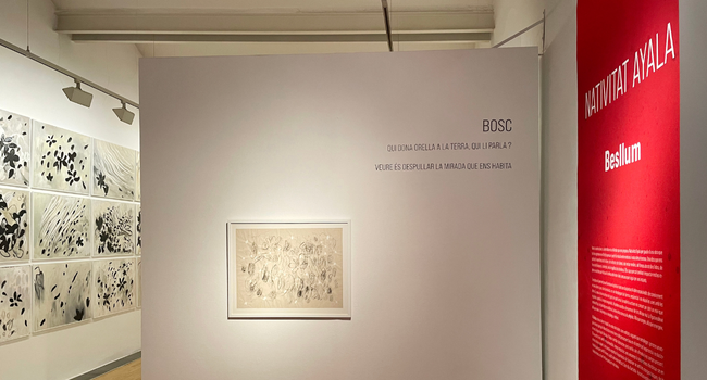 Visita guiada a l’exposició de Nativitat Ayala al Museu d’Art de Sabadell